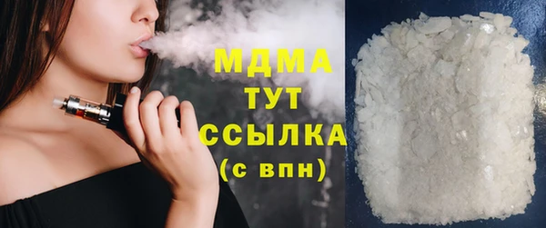 мдпв Бородино
