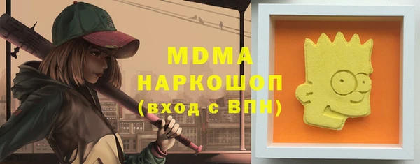 мдпв Бородино
