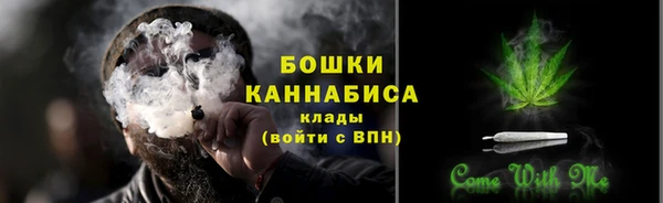 мдпв Бородино