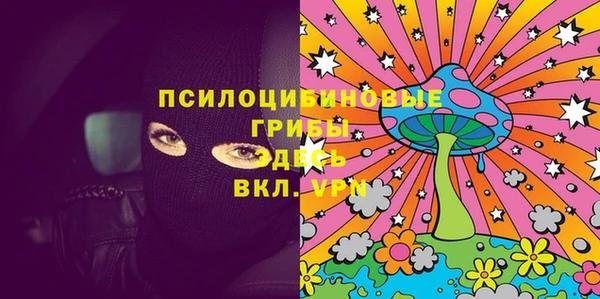 мдпв Бородино