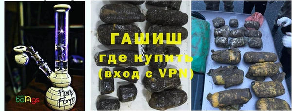 мдпв Бородино