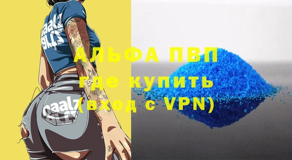 мдпв Бородино
