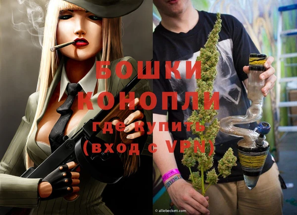мдпв Бородино